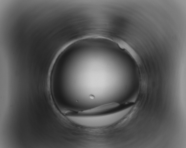 X0000094931004200712061125