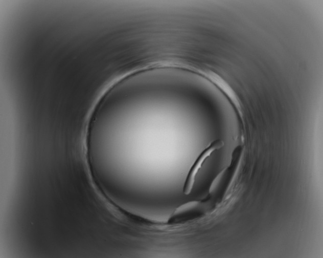 X0000094931005200712061125