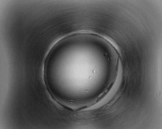 X0000094931006200712061125