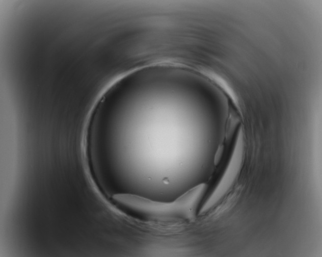 X0000094931007200712061125