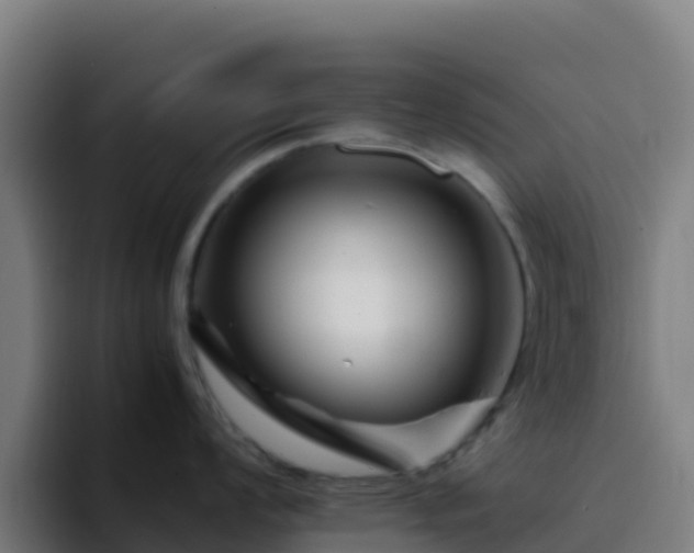 X0000094931008200712061125