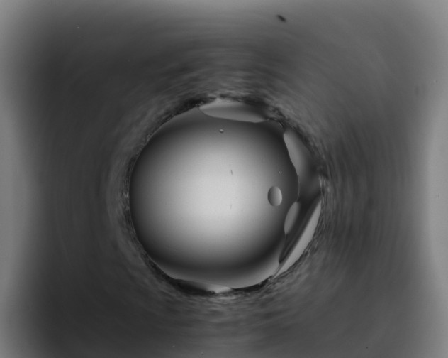X0000094931009200712061124