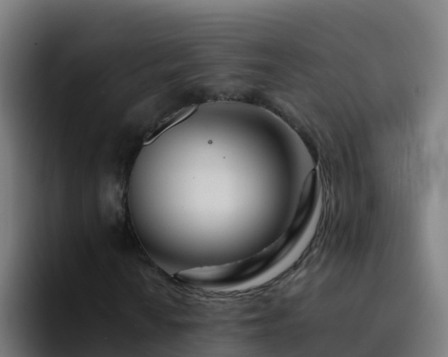 X0000094931010200712061124