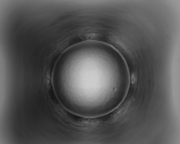 X0000094931011200712061124