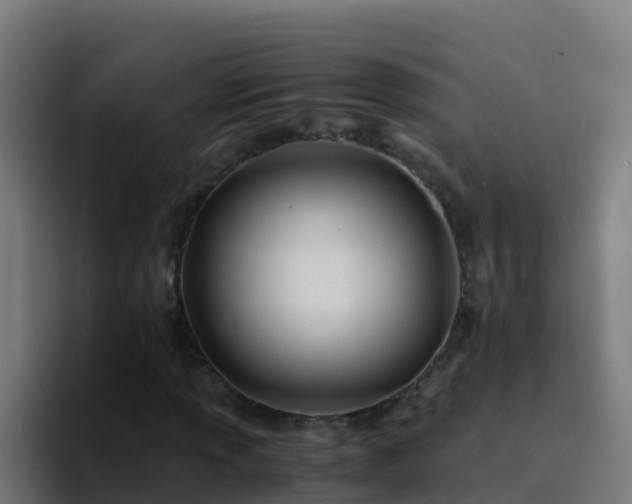 X0000094931013200712061124