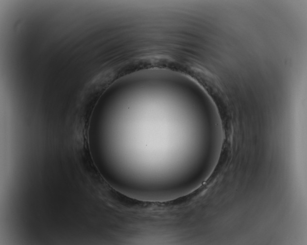 X0000094931014200712061124