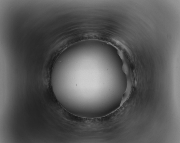 X0000094931015200712061125