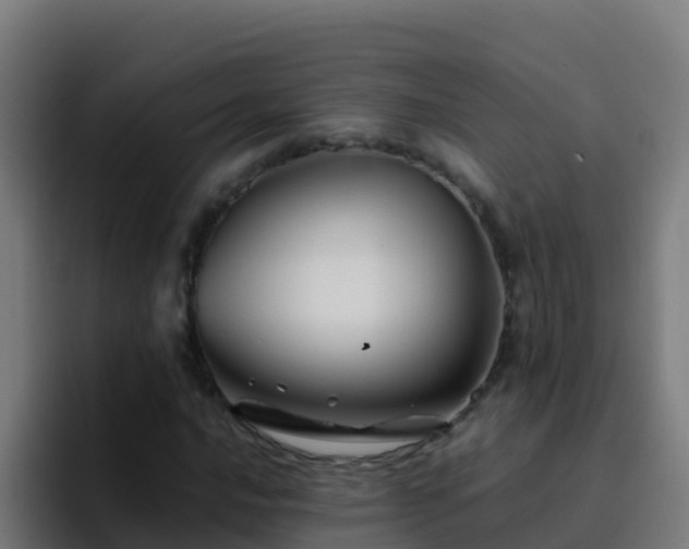 X0000094931016200712061125