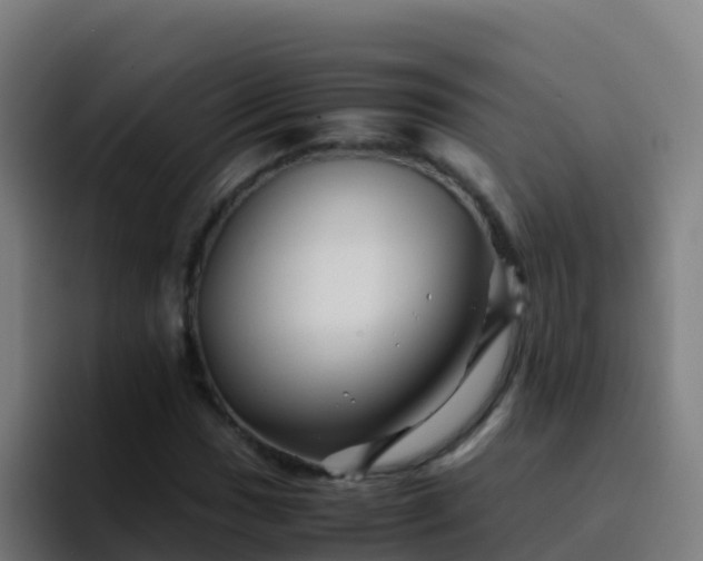 X0000094931017200712061125