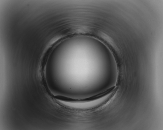 X0000094931018200712061125