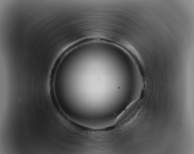 X0000094931020200712061125