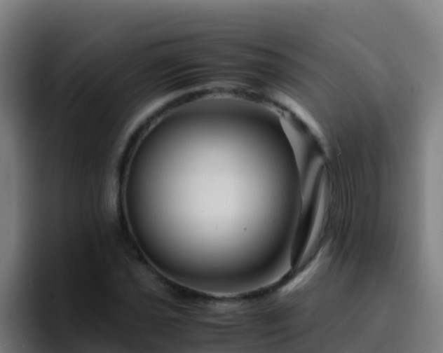 X0000094931021200712061125