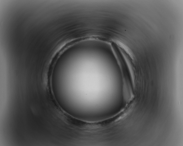X0000094931023200712061125