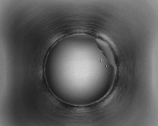 X0000094931025200712061125