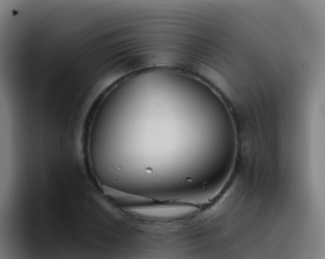 X0000094931026200712061125