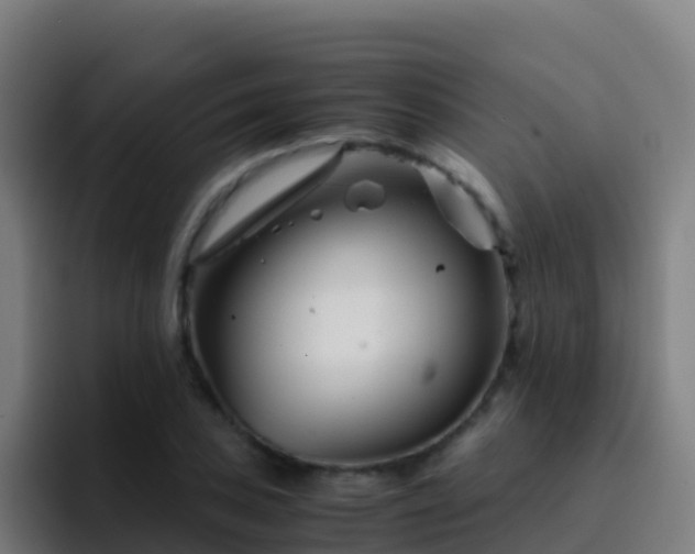 X0000094931027200712061125