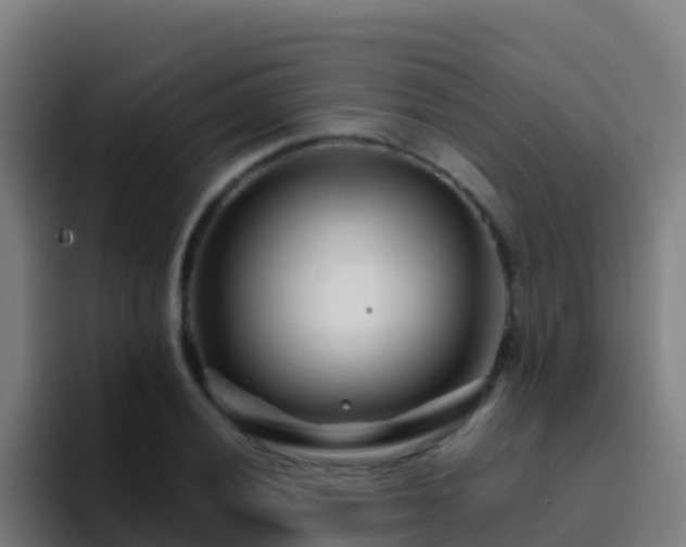 X0000094931028200712061125