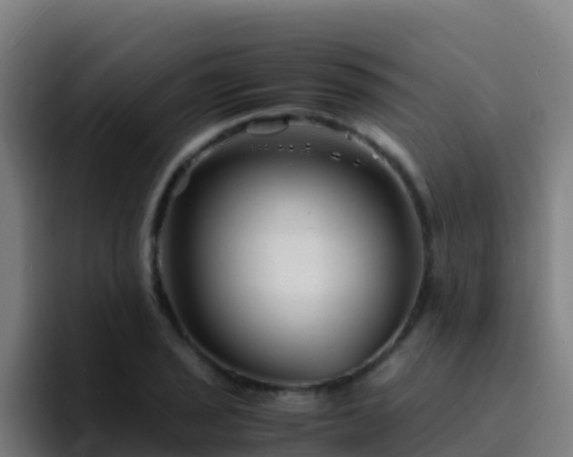 X0000094931029200712061125