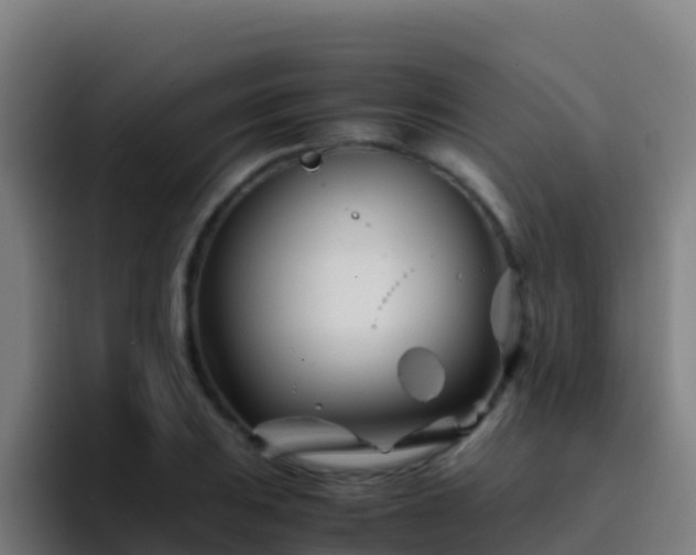 X0000094931031200712061125