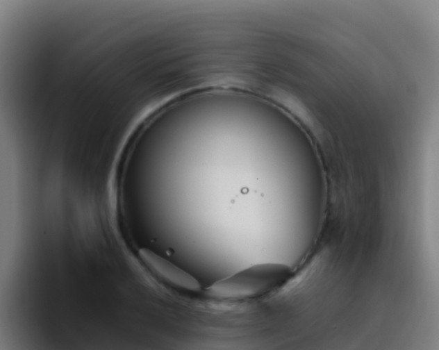 X0000094931032200712061125