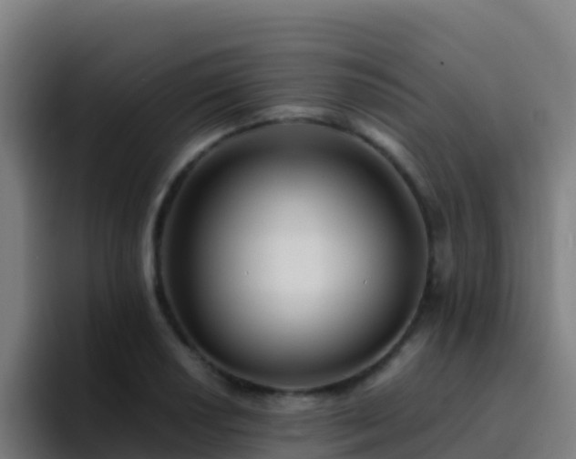 X0000094931034200712061125
