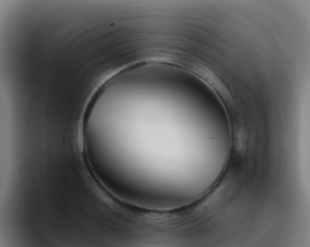 X0000094931036200712061125