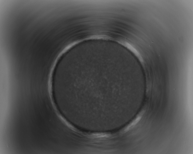 X0000094931037200712061125