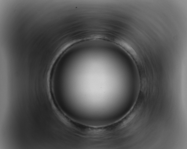 X0000094931039200712061125