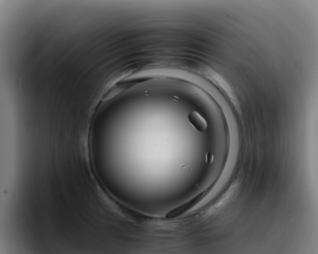 X0000094931041200712061125