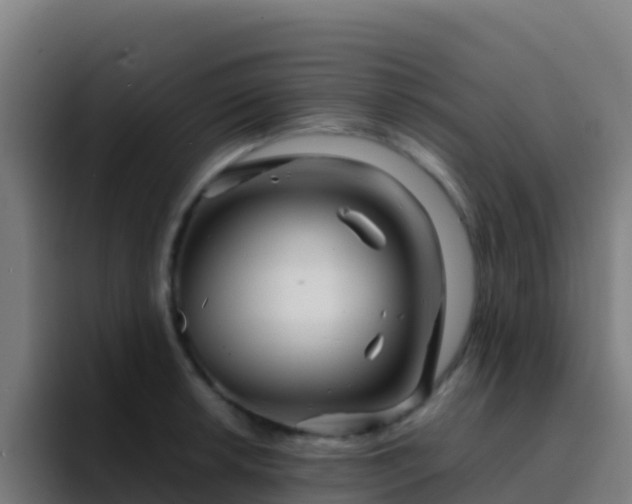 X0000094931042200712061125