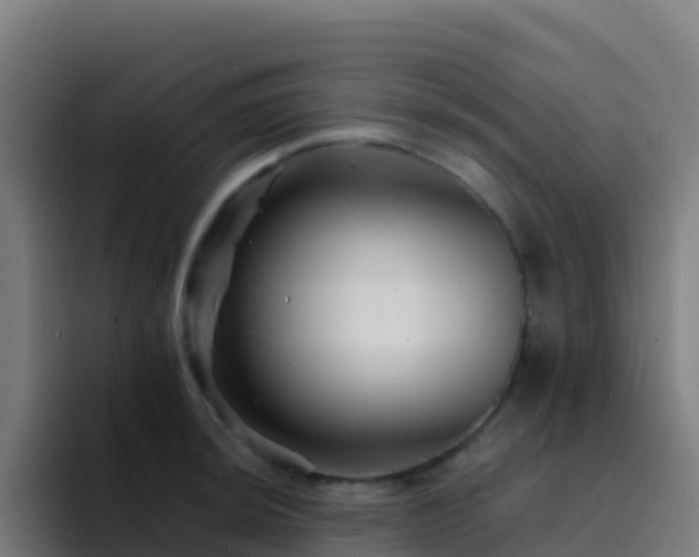 X0000094931044200712061125