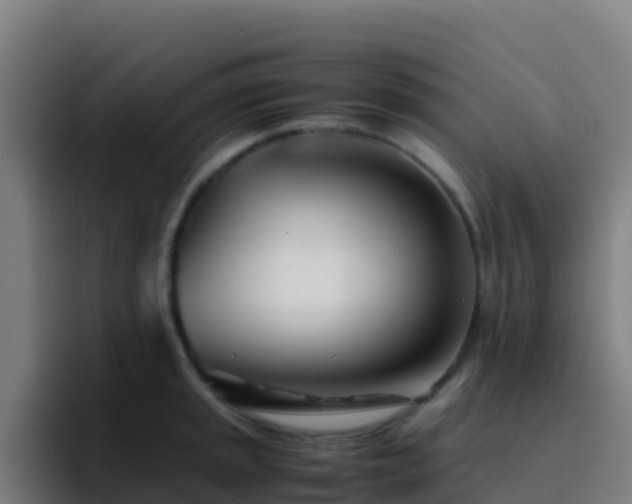 X0000094931045200712061125