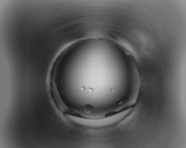 X0000094931046200712061125