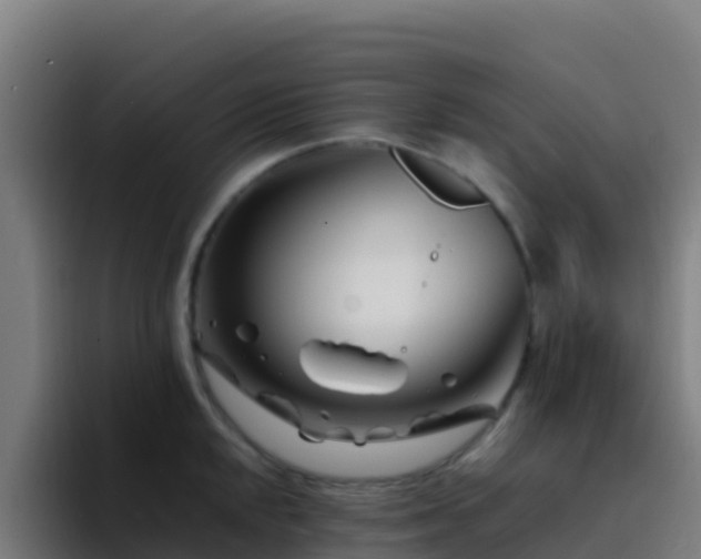 X0000094931048200712061125