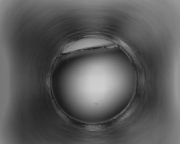 X0000094931049200712061125