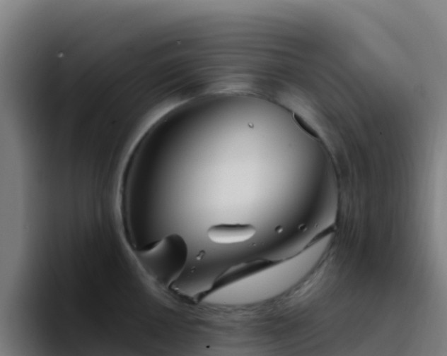 X0000094931050200712061125