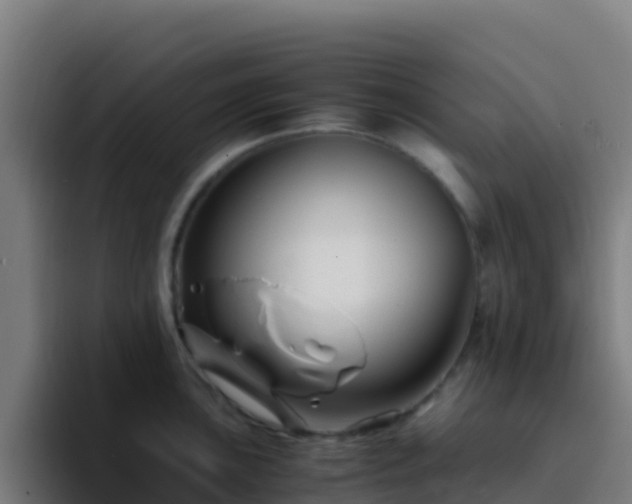X0000094931051200712061125