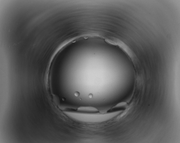 X0000094931052200712061125