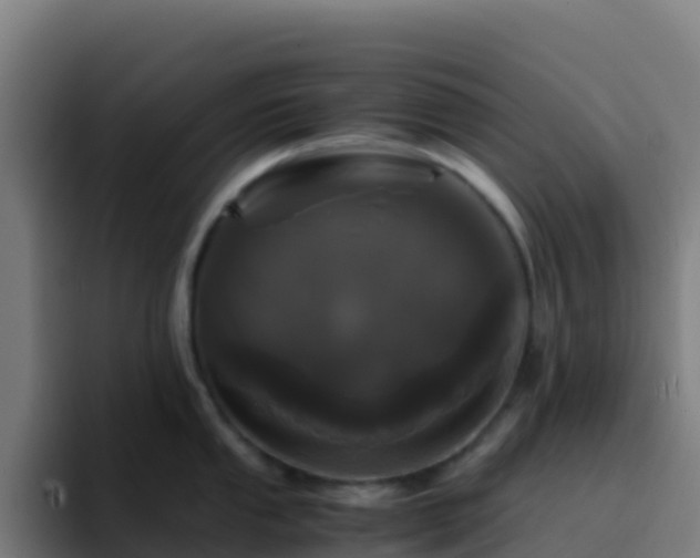 X0000094931053200712061125