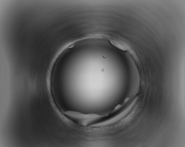 X0000094931054200712061125