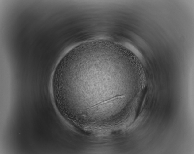 X0000094931055200712061125