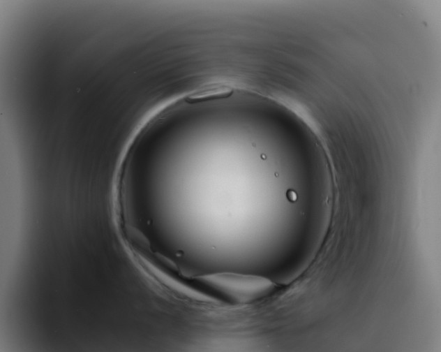 X0000094931056200712061125