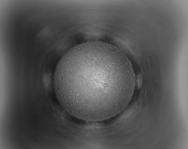 X0000094931059200712061124
