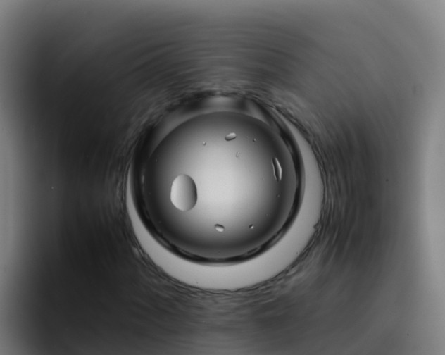X0000094931060200712061124