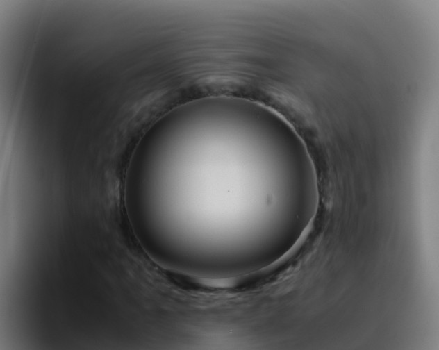 X0000094931061200712061124