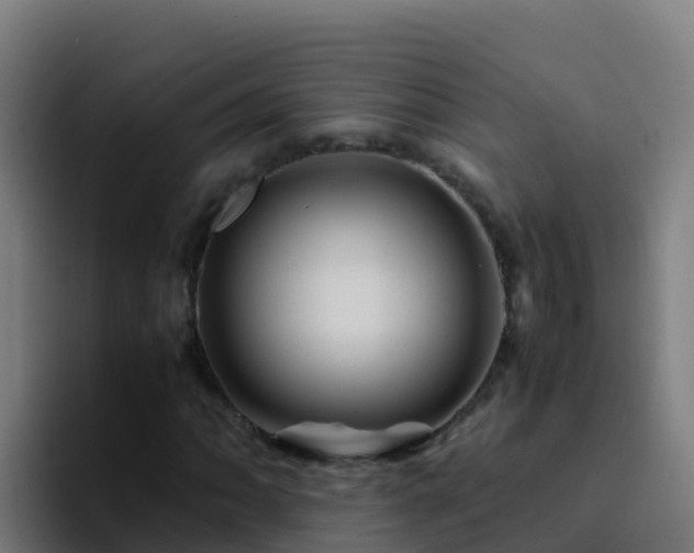 X0000094931062200712061124