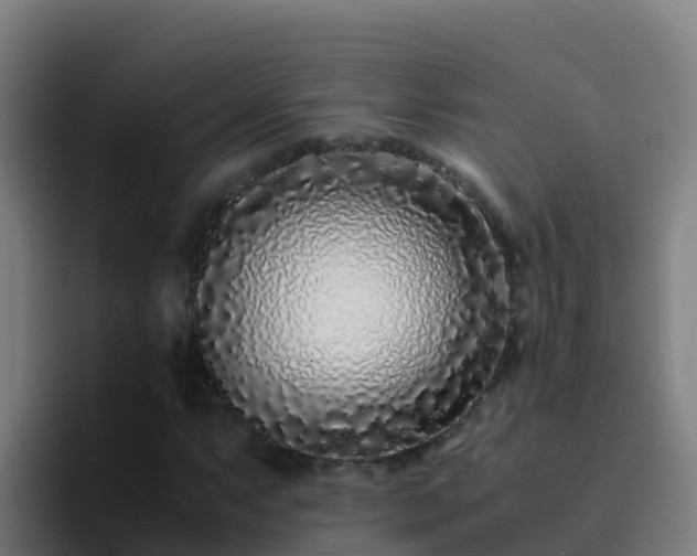 X0000094931063200712061124