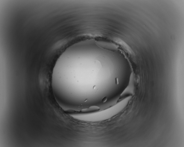 X0000094931064200712061124