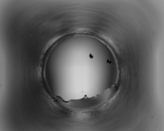 X0000094931066200712061124