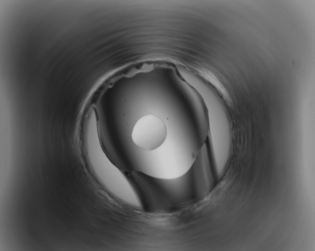 X0000094931068200712061124